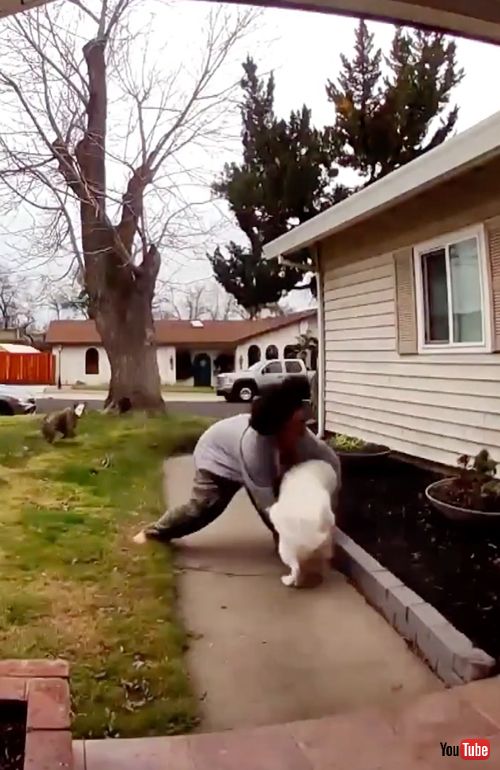 ワンコの脱走を阻止する飼い主