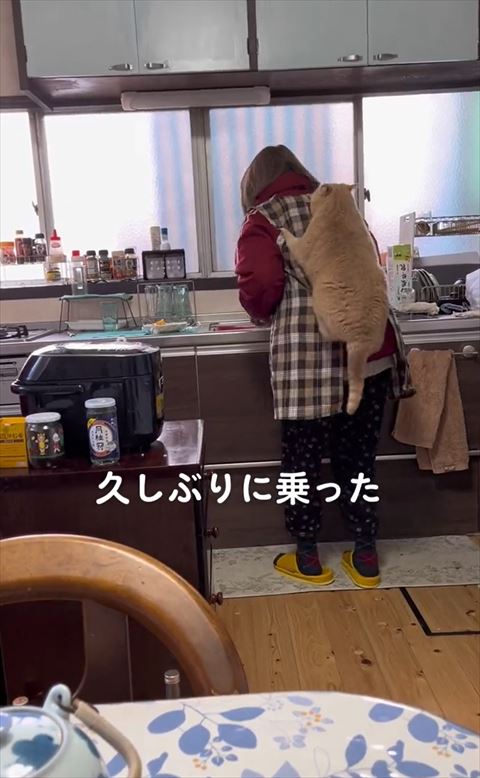 背中に猫かがむお母さん