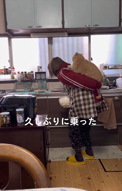 背中の猫に手をそえるお母さん