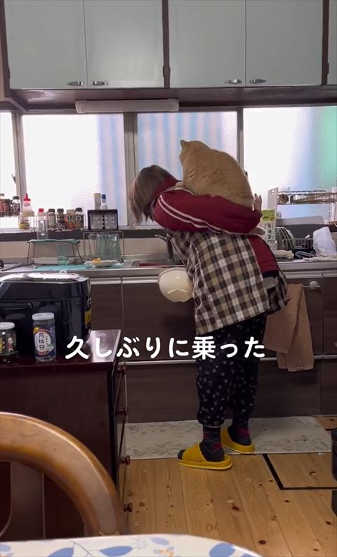 猫を上の方にもちあげるお母さん