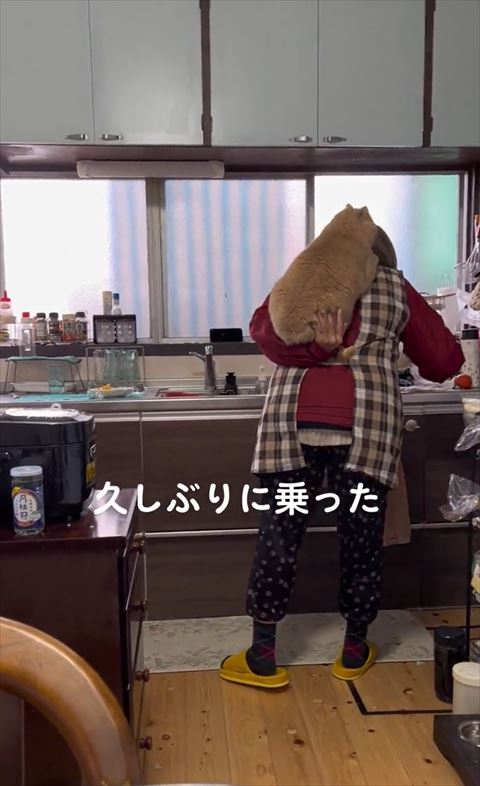 左手で猫を支えるお母さん後ろ姿