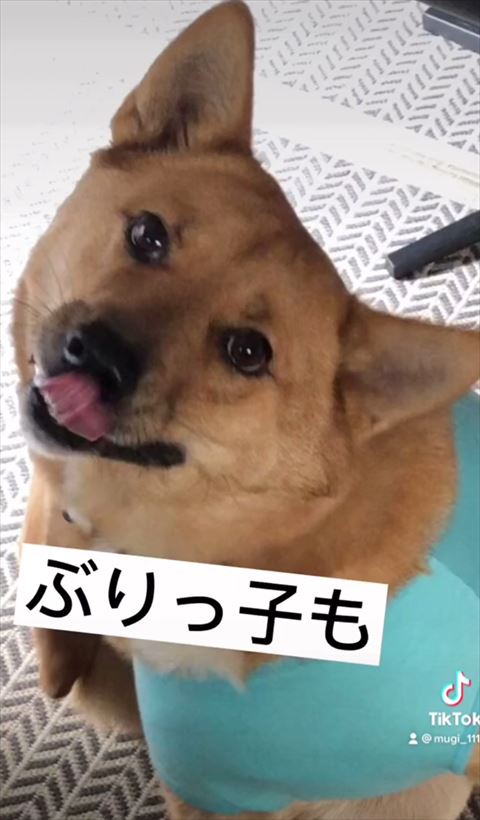 ぶりっこもテロップ