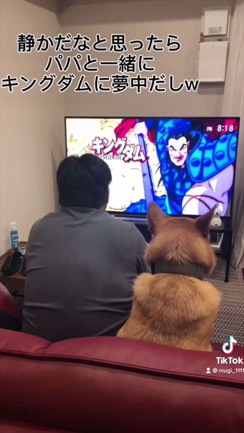 お父さんとテレビ見るワンコ