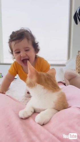 「When Your Baby Falls In Love With Your Eight Rescue Cats | The Dodo」