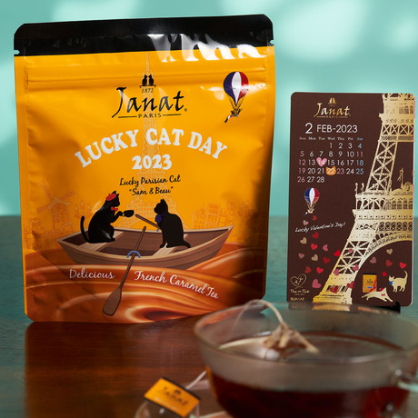 「ネコの日バッグ」