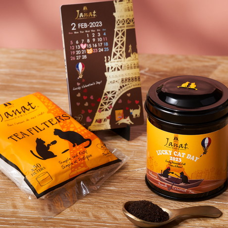 「ネコの日バッグ」