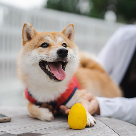 ニコニコのぽん吉くん