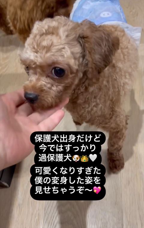 アゴに手のせて不安そう