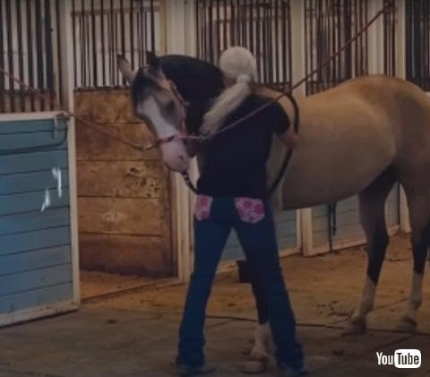 毛づくろいする馬