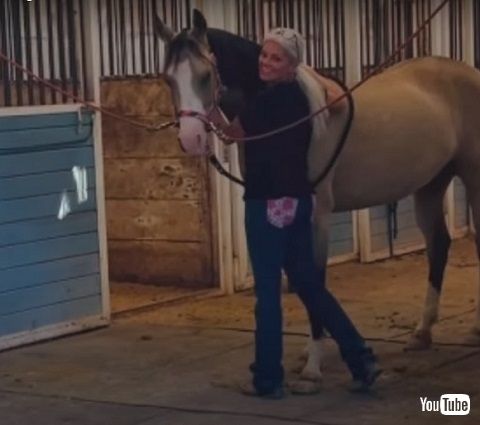 毛づくろいする馬