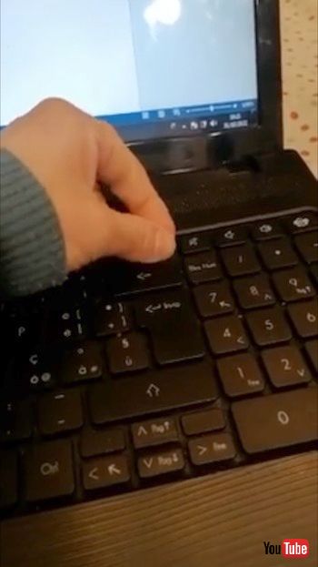 はめ直した飼い主