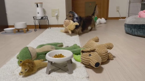 あせった