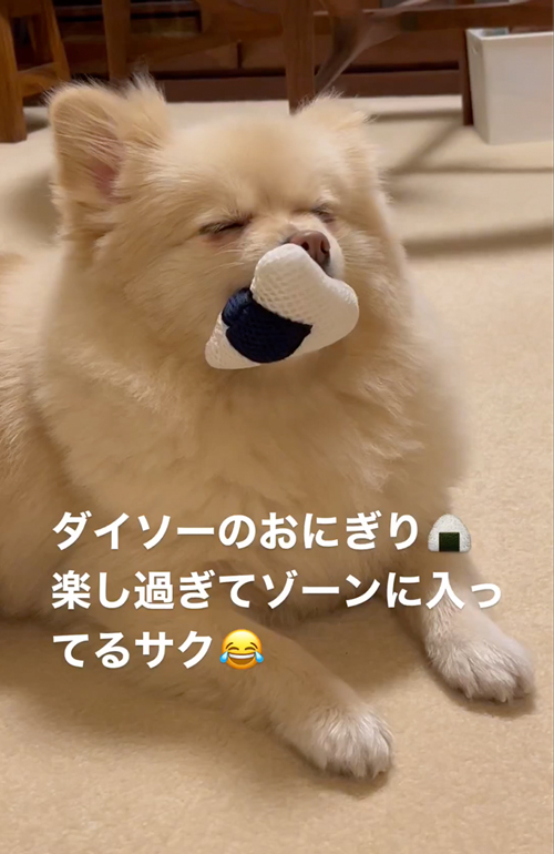 おもちゃにうっとり