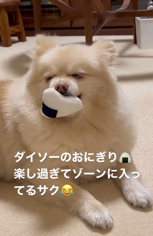 おもちゃにうっとり