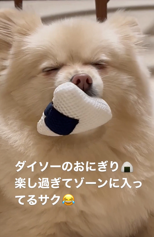 おもちゃにうっとり