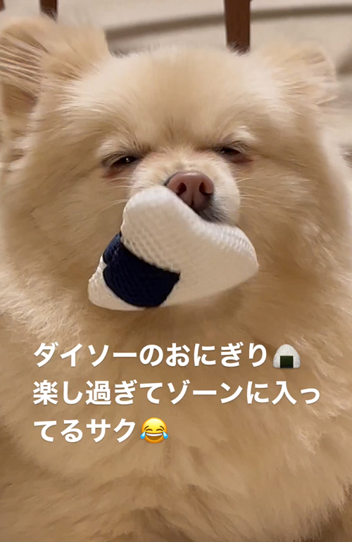 おもちゃにうっとり