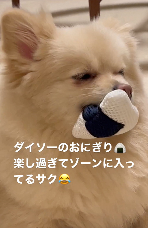 おもちゃにうっとり