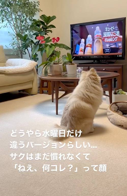 大好きなキユーピー3分クッキング