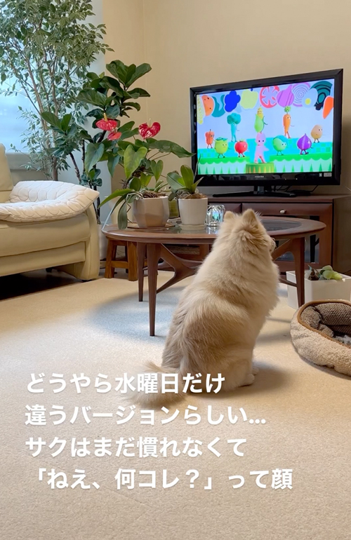 大好きなキユーピー3分クッキング