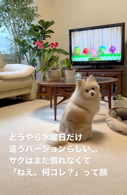 大好きなキユーピー3分クッキング