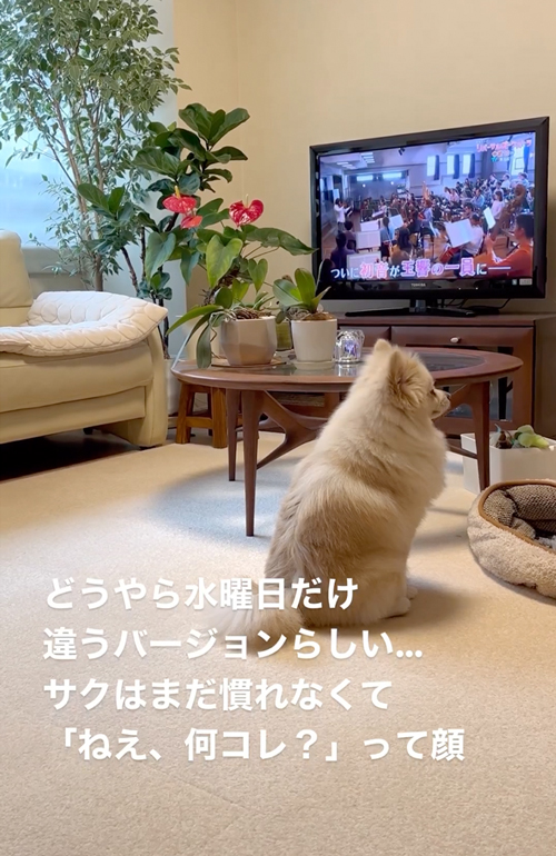 大好きなキユーピー3分クッキング