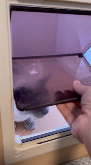 猫扉の使い方を教えたら