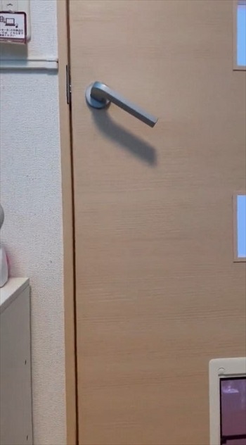 猫扉の使い方を教えたら