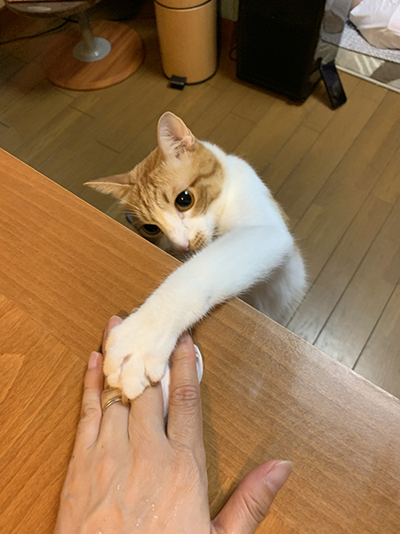 前脚で手をつかまえる豆太郎くん