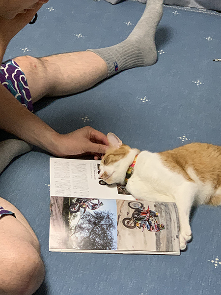 雑誌にごろんする豆太郎くん