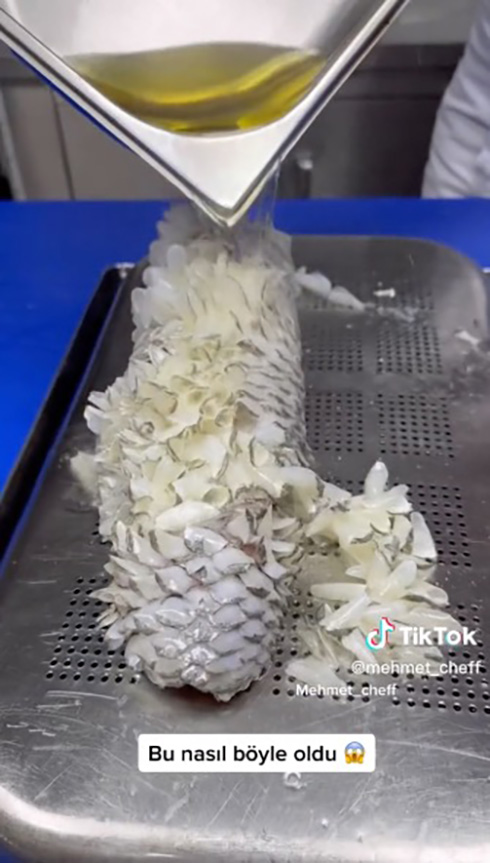 うろこだらけの魚に液体をかけると……？　うろこが浮かび上がりポロポロ取れる動画が心地いい