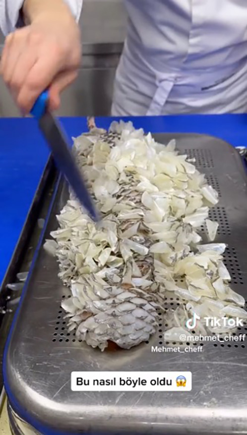 うろこだらけの魚に液体をかけると……？　うろこが浮かび上がりポロポロ取れる動画が心地いい