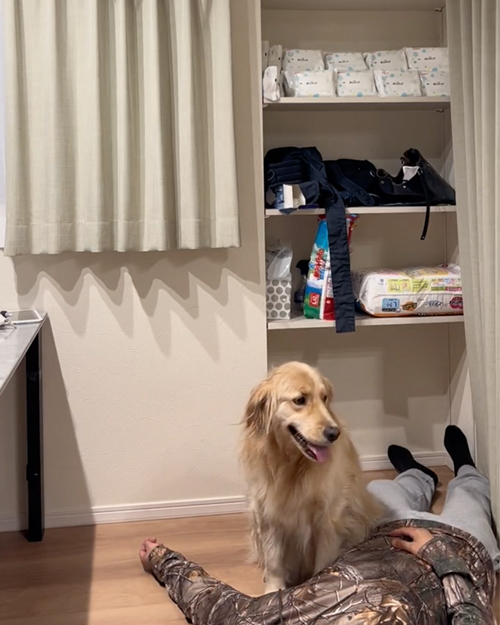 突然飼い主が倒れたら？