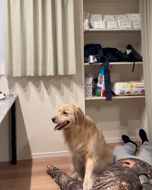 突然飼い主が倒れたら？