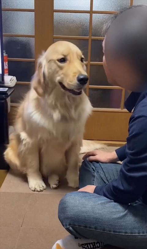 パパさんに近づこうとするワンコ