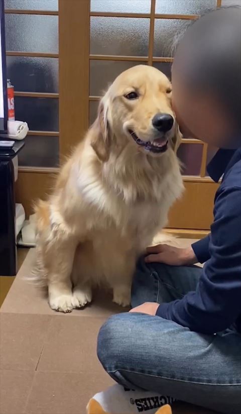 パパに顔を寄せるワンコ