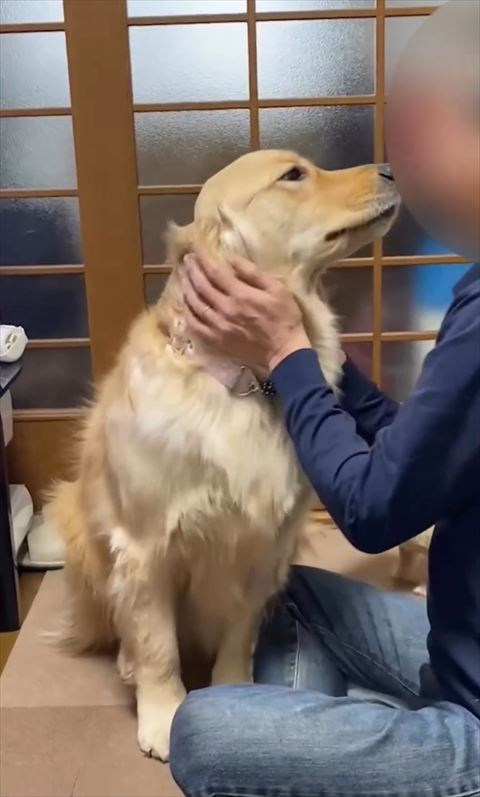 パパさんの顔に鼻近づけるワンコ