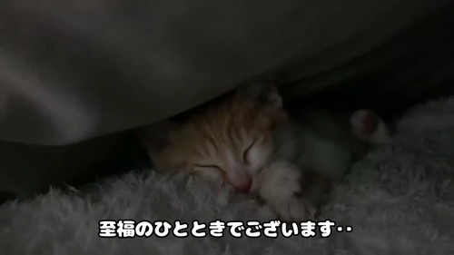 至福のひととき