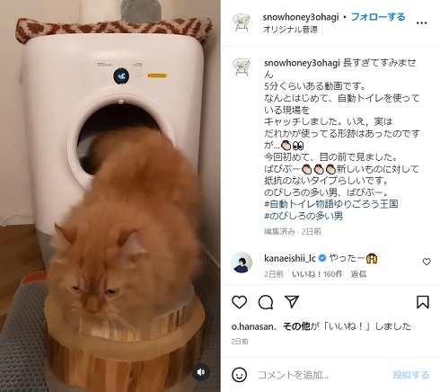 石田ゆり子が撮影した自動トイレを使う飼い猫の姿