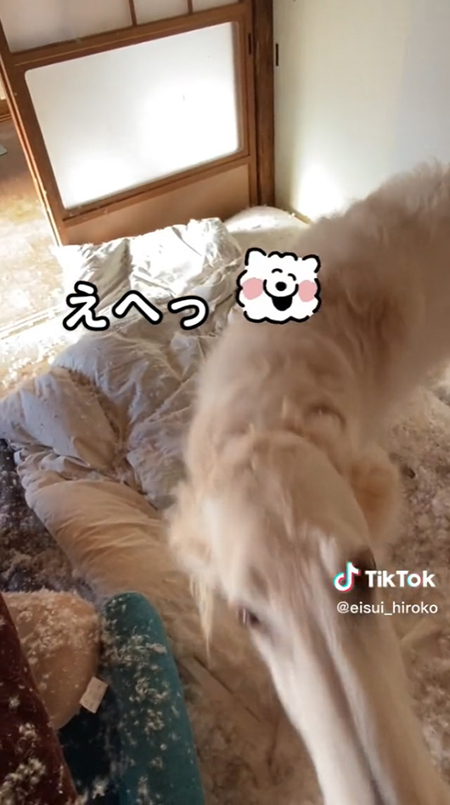 のいちゃんえへっ