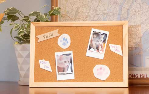 シヤチハタ いぬ・ねこ用 足形 作成キット 肉球 ぺたっち Makuake