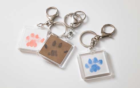 シヤチハタ いぬ・ねこ用 足形 作成キット 肉球 ぺたっち Makuake