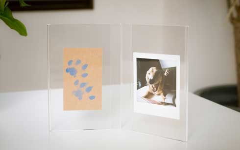 シヤチハタ いぬ・ねこ用 足形 作成キット 肉球 ぺたっち Makuake