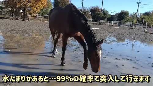 見守るスタッフ