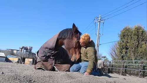 気持ちよさそうな馬