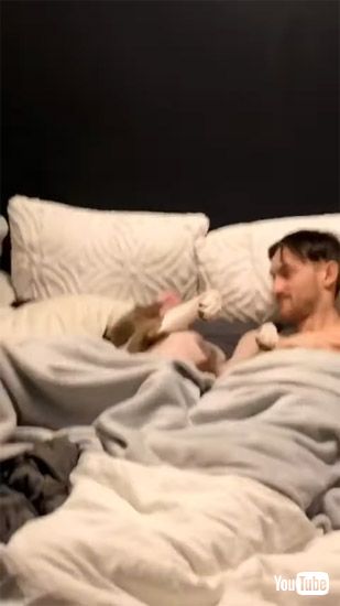 そのまま眠るワンコ