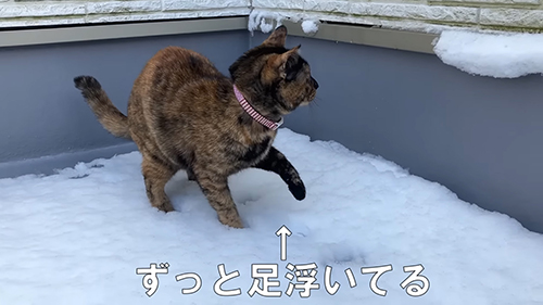 ずっと浮いてる