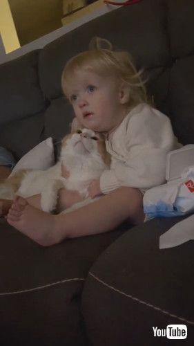 「Livie and Georgie are Best Friends || ViralHog」