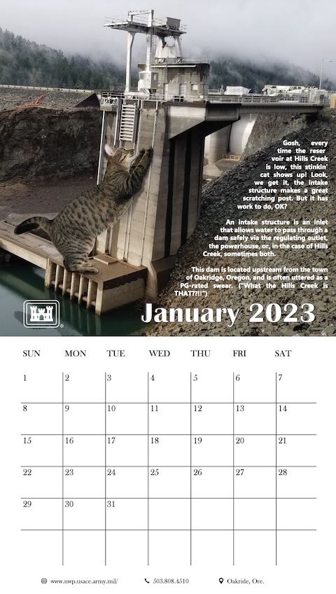 猫 カレンダー 巨大 大きい ネタ 2023 米軍