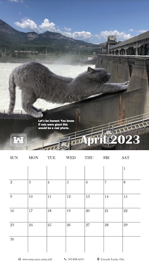 猫 カレンダー 巨大 大きい ネタ 2023 米軍