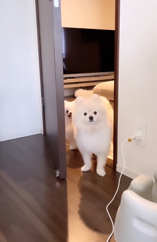 立ち入り禁止部屋